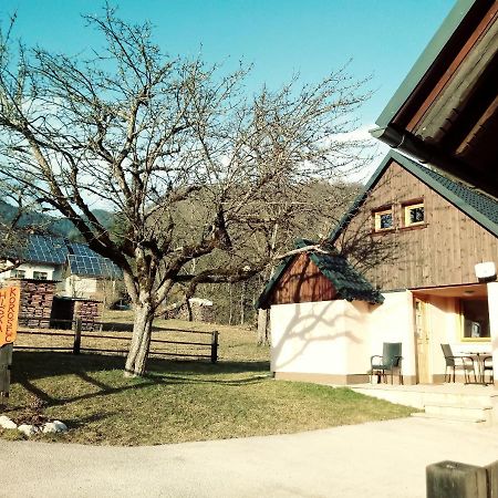 Apartma Hiska Korosec Бохинь Экстерьер фото